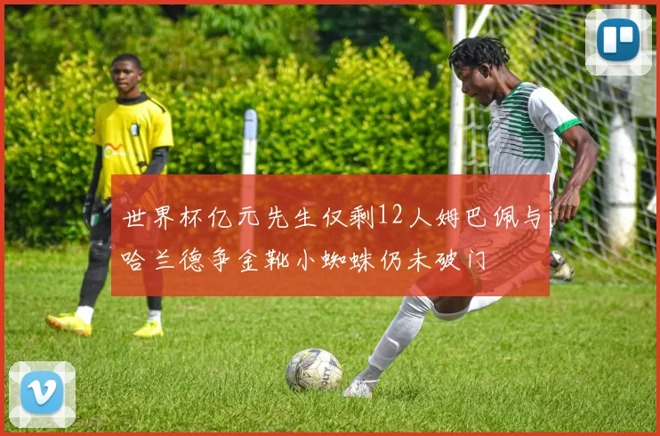 世界杯亿元先生仅剩12人姆巴佩与哈兰德争金靴小蜘蛛仍未破门
